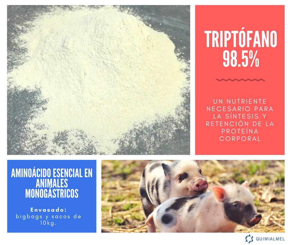 El triptófano un aminoácido esencial en dietas para animales monogástricos